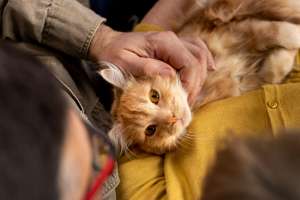 Pet Cremation Memorials in Respite Care Living Pet Cremation Memorials in Respite Care Living